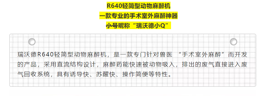 6-pt真人游戏官网小Q.png