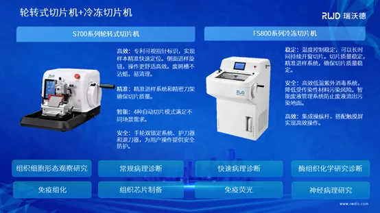 8-pt真人游戏官网组织病理方案.png