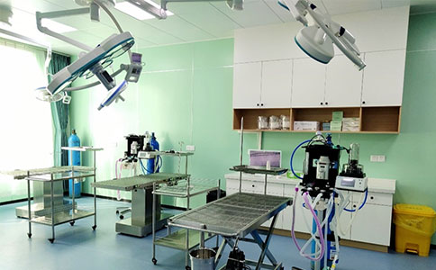 pt真人游戏官网与瑞派宠物医院以人才培养助力动物健康事业发展 
