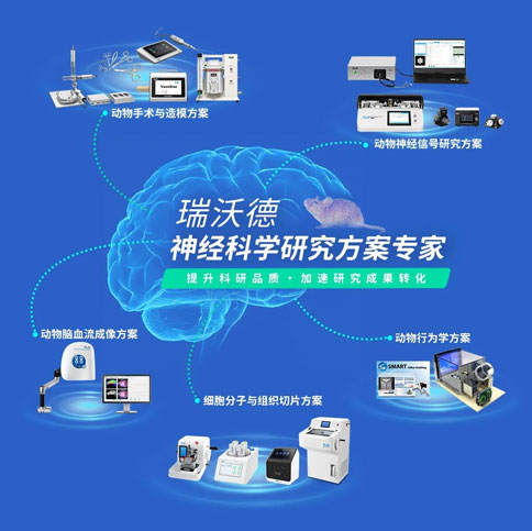 1-pt真人游戏官网神经科学研究方案.jpg
