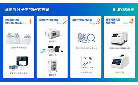 pt真人游戏官网细胞与分子生物研究方案