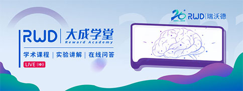 pt真人游戏官网大成学堂