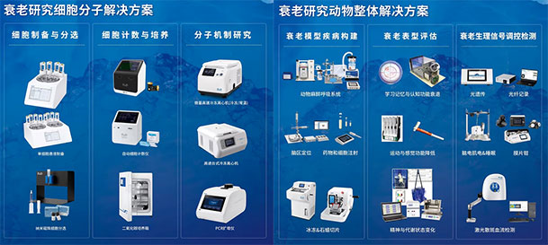 pt真人游戏官网两大衰老解决方案