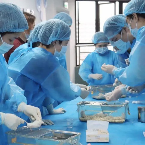 更适合动物科研宝宝的免费实操培训，来了！pt真人游戏官网-达科为-灵赋拓普