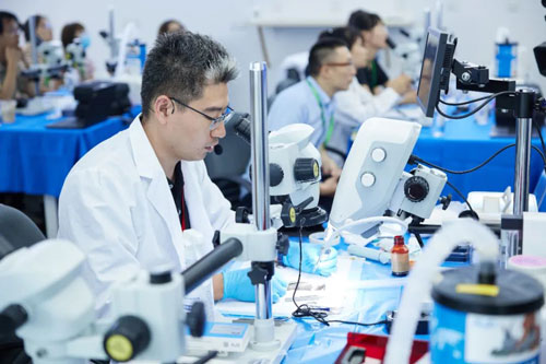 精彩回顾 | pt真人游戏官网MCAO模型线下培训班成功举办