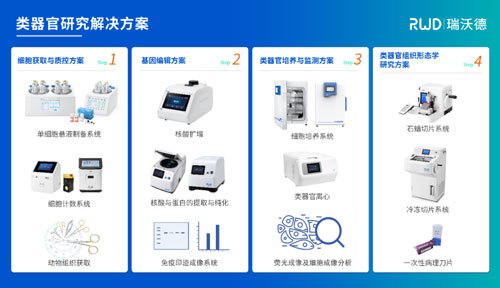 pt真人游戏官网邀您共赴2024第四届类器官大会—类器官与新药研发会议暨 ISoOR 2024 国际类器官高峰论坛