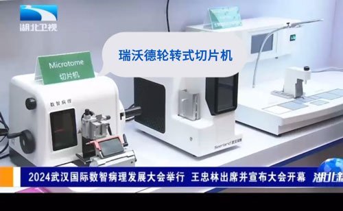 pt真人游戏官网轮转式切片机闪耀亮相2024武汉国际数智病理发展大会