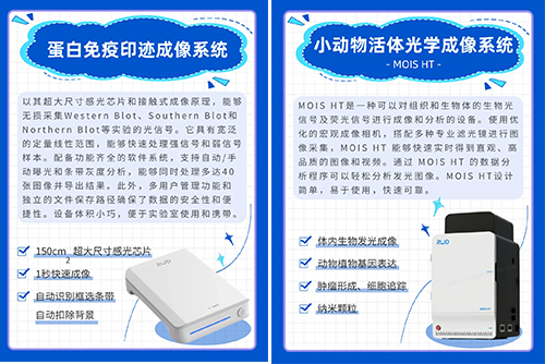 CNS 2024pt真人游戏官网参展精彩瞬间