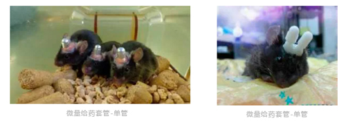 pt真人游戏官网双管微量给药套管全新升级