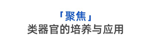 Nature子刊一作廖志赢：发现ACE2潜在的表达机制，联合多个课题组齐心攻克前沿学术难题！