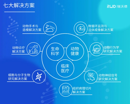 pt真人游戏官网