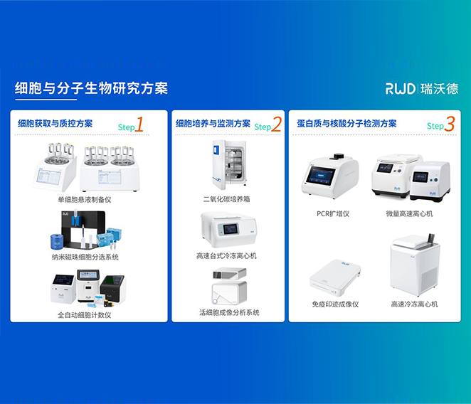 pt真人游戏官网细胞分子