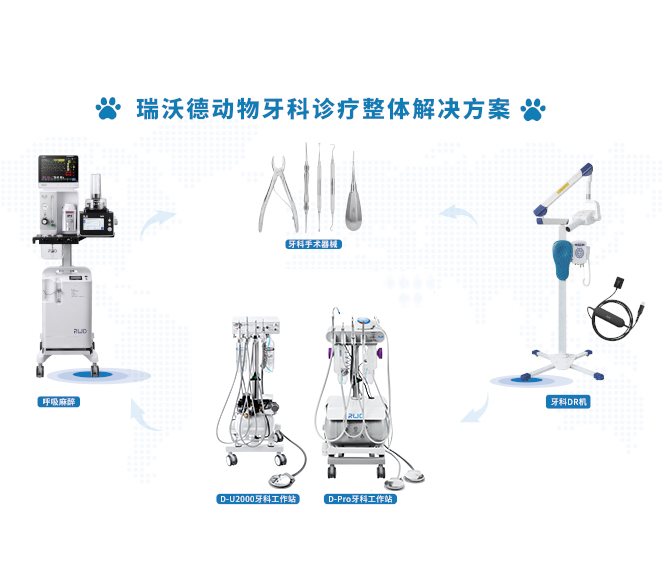 方案介绍 动物牙科诊疗整体解决方案